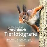 Praxisbuch Tierfotografie: Wildschwein, Eichhörnchen, Robbe & Co. – Säugetiere an Land und am...