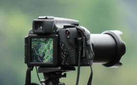 Kamera für die Vogelfotografie
