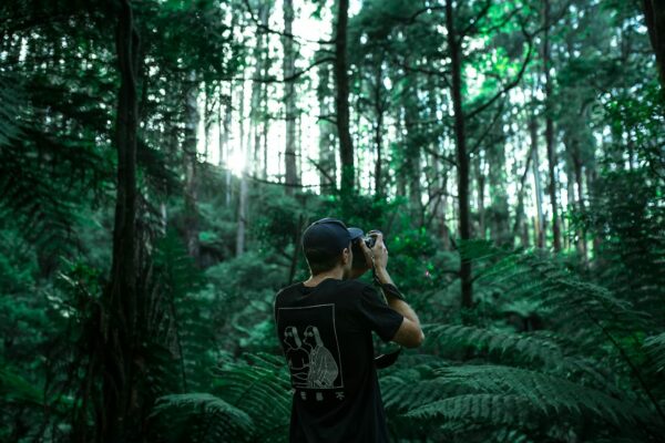 Fotografieren bei schwierigen Lichtverhältnissen