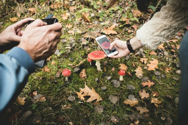 Häufige Fehler beim Fotografieren mit dem Smartphone