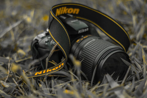 Nikon Kamera für Wildlife-Fotografie für Einsteiger auf Gras liegend