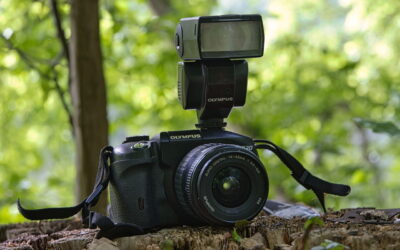 Olympus-Kamera mit Blitzgerät auf einem Baumstamm im Freien – Blitzen beim Fotografieren